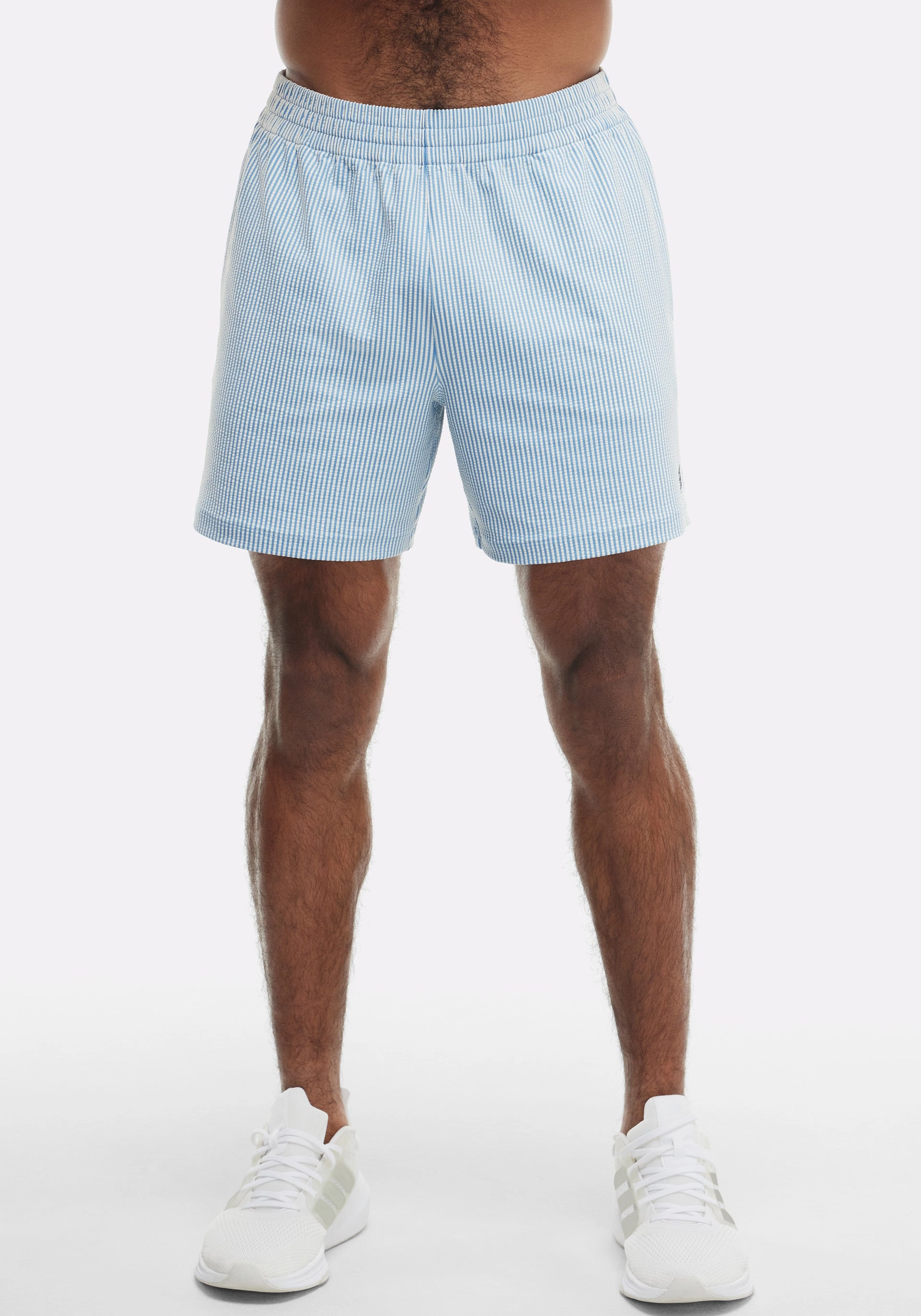 6?? Unlined Seersucker Short souvenir item Earth Tones