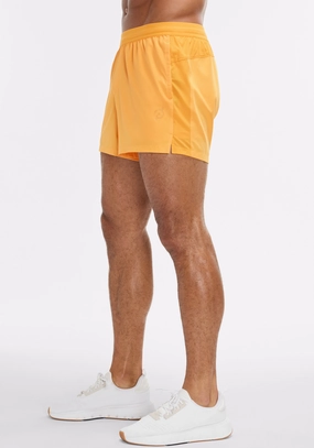 Vented Hem Details 5" Lined Summit Short