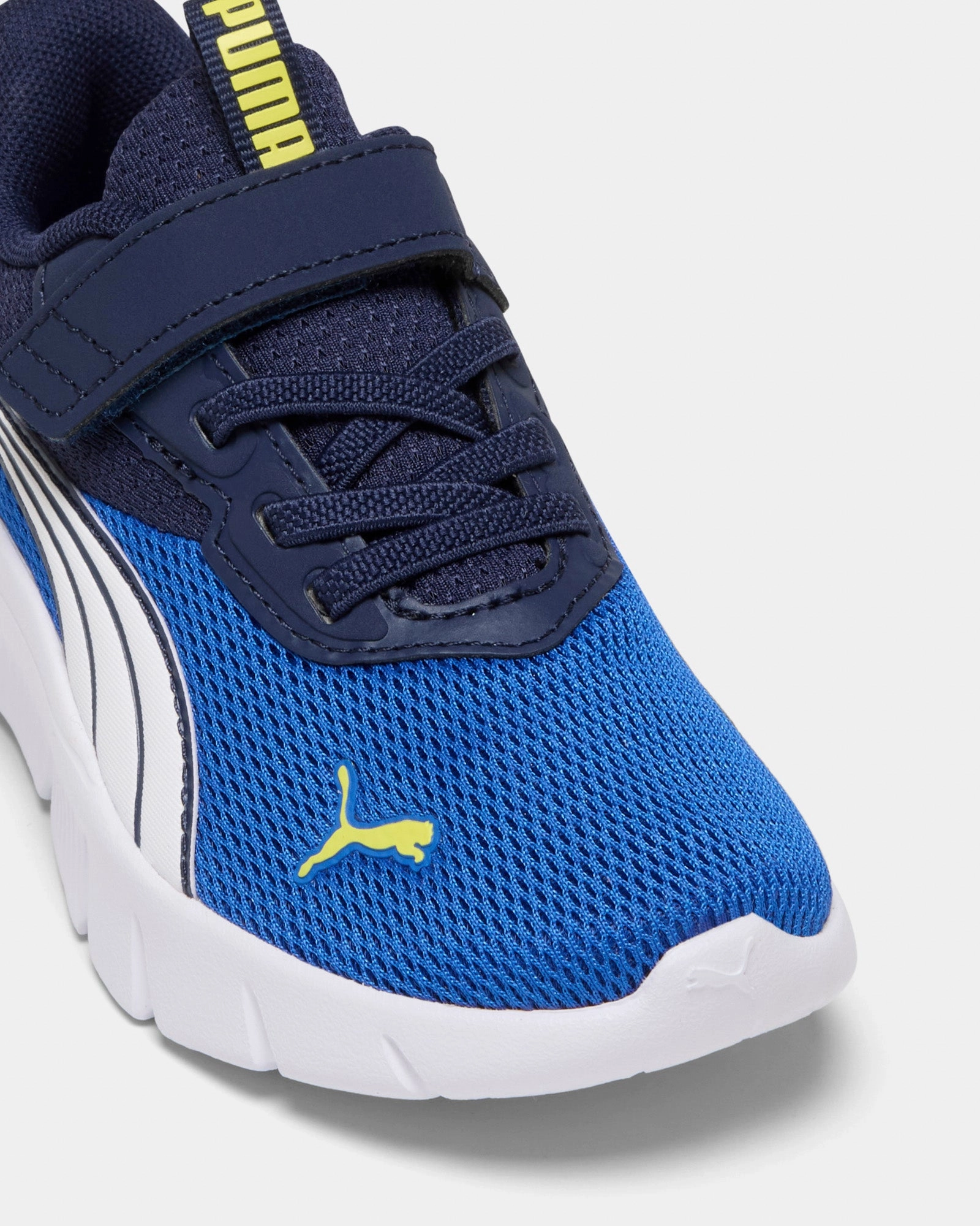 Flexfocus Modern Ac  Ps B Royal/Navy Classic Vibe