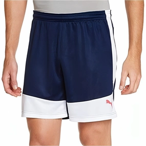 Puma Evo TRG Mens Training Shorts - Blue Quick Layer Fit